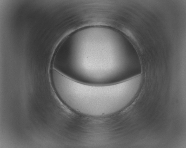 X0000070161181200605260931