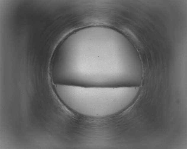X0000070161182200605260931