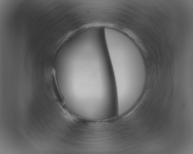 X0000070161185200605260931