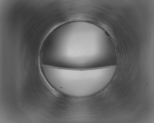 X0000070161187200605260931
