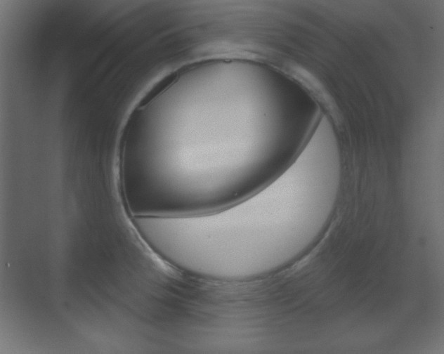 X0000070161188200605260931
