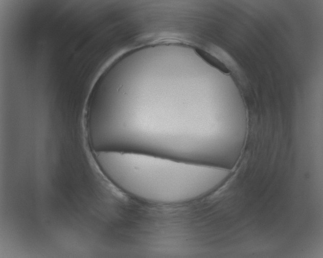X0000070161190200605260931