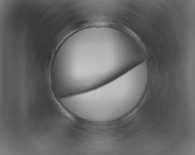 X0000070161194200605260931