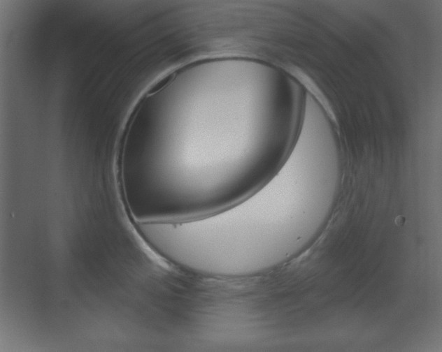 X0000070161197200605260930