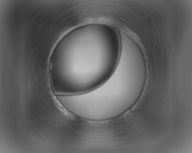X0000070161200200605260930
