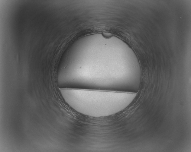 X0000070161201200605260930