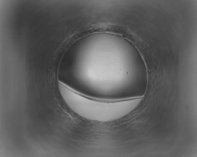 X0000070161206200605260930
