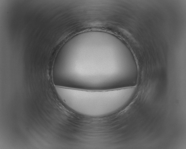 X0000070161209200605260930