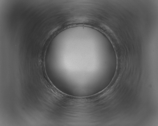 X0000070161210200605260930