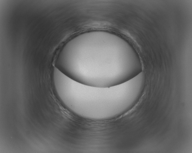 X0000070161211200605260930