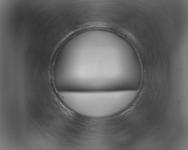 X0000070161212200605260930
