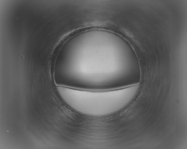 X0000070161214200605260930