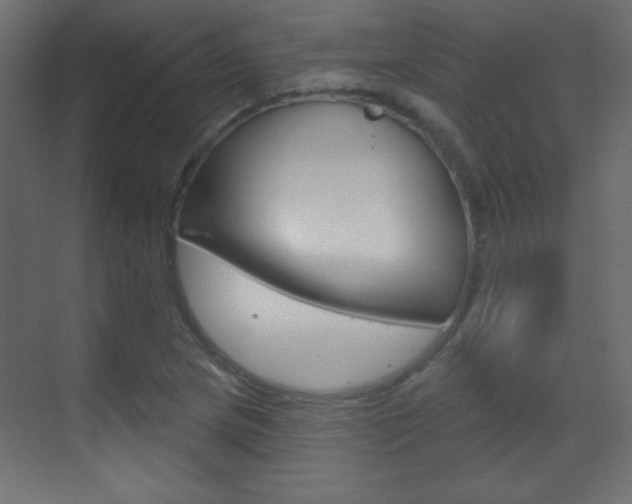X0000070161217200605260930