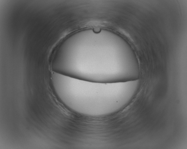 X0000070161219200605260930