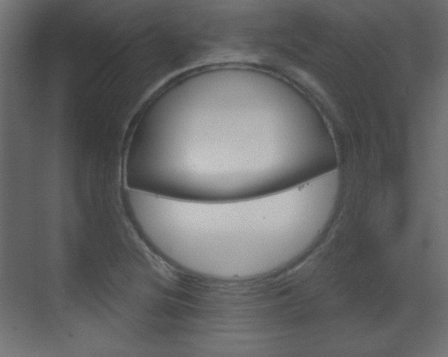 X0000070161220200605260930