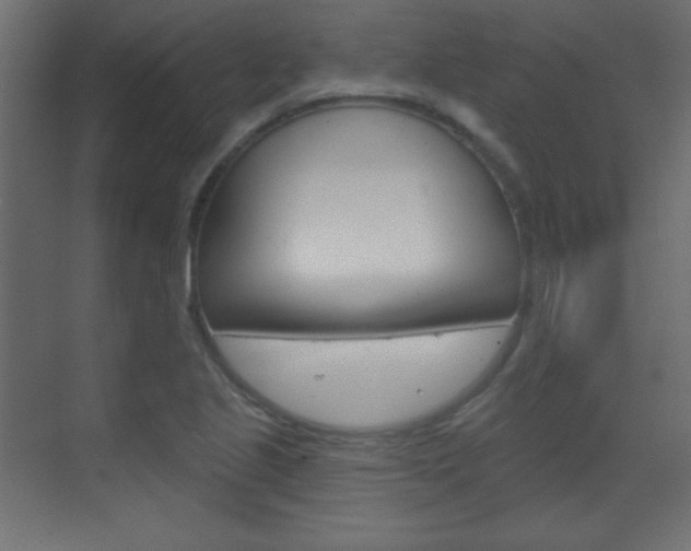 X0000070161221200605260930