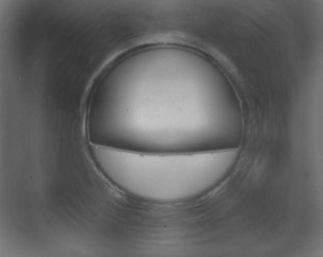 X0000070161224200605260930