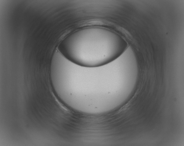 X0000070161225200605260930