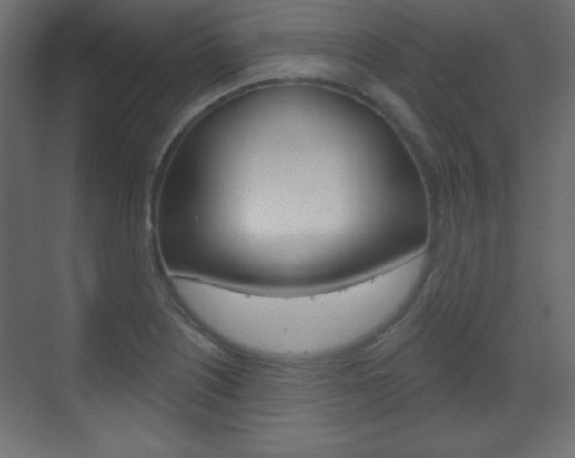 X0000070161226200605260930