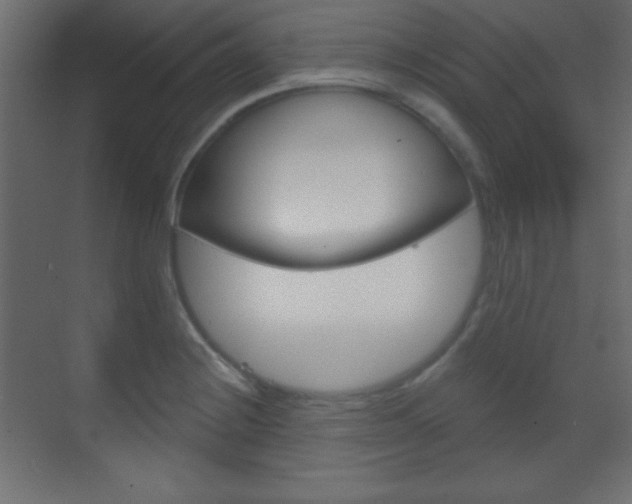 X0000070161228200605260930