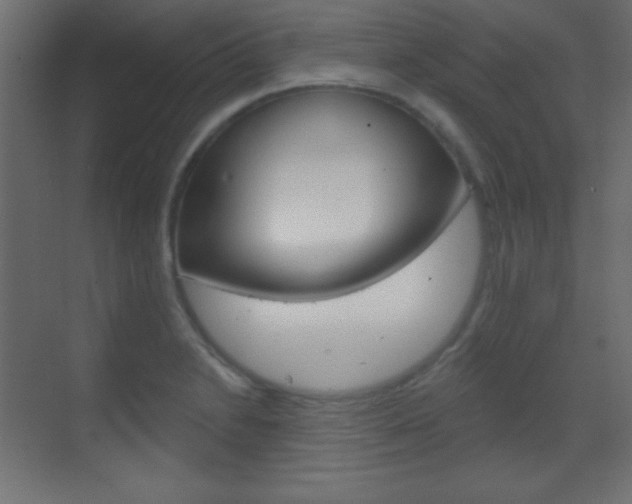 X0000070161230200605260930