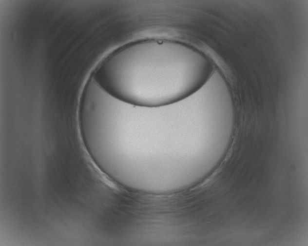 X0000070161240200605260930