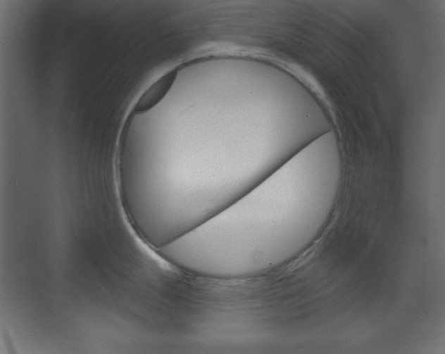 X0000070161247200605260930