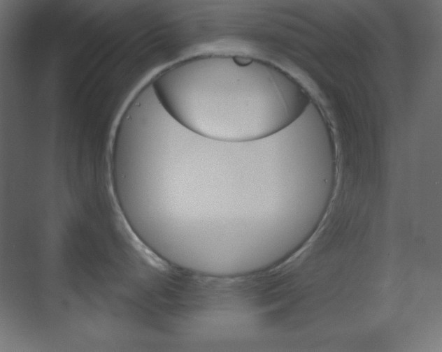 X0000070161248200605260930
