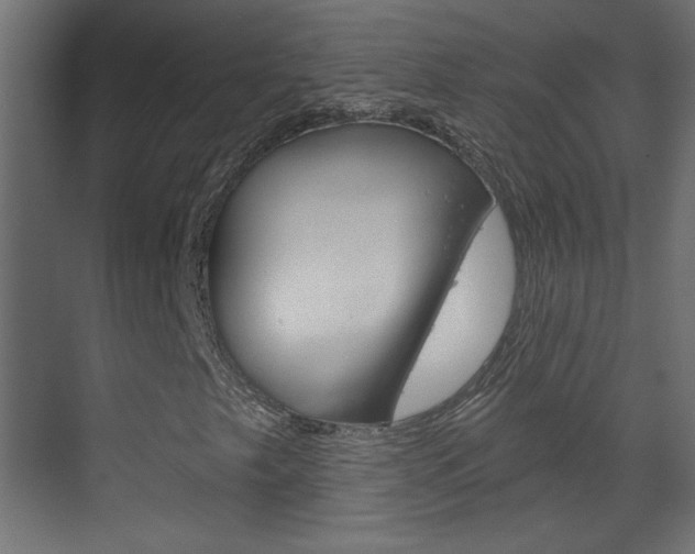 X0000070161249200605260930