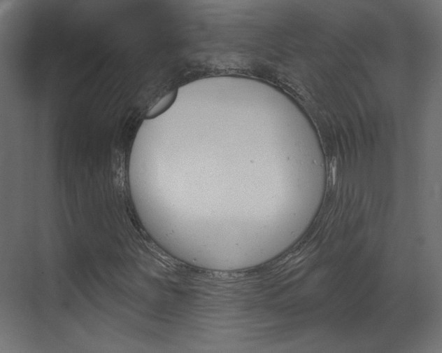 X0000070161251200605260930
