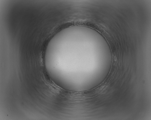 X0000070161252200605260930