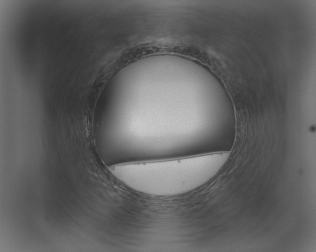 X0000070161253200605260930