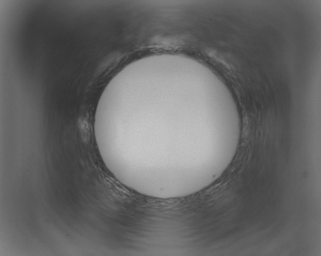 X0000070161254200605260930
