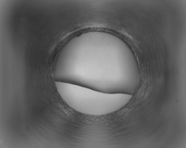 X0000070161255200605260930