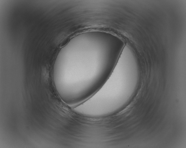 X0000070161257200605260929