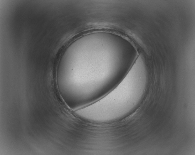 X0000070161261200605260929