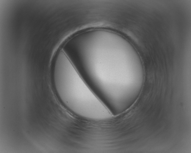 X0000070161270200605260929