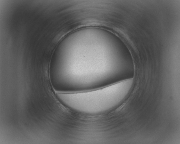 X0000070161273200605260929