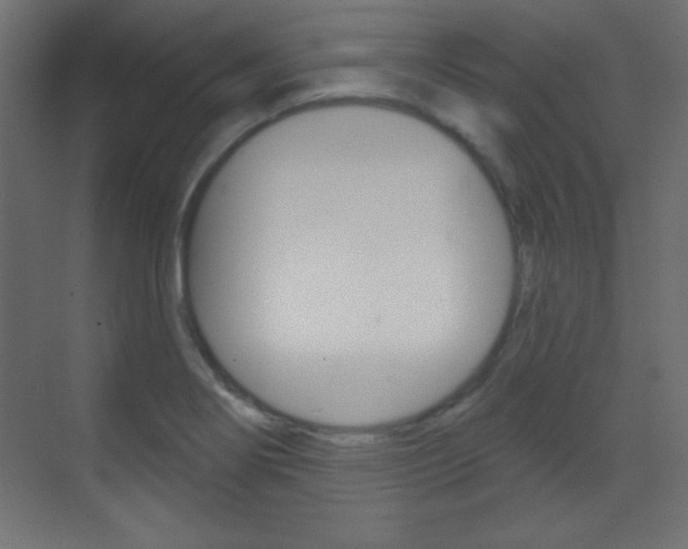 X0000070161274200605260929