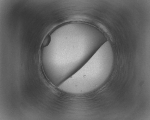 X0000070161275200605260929