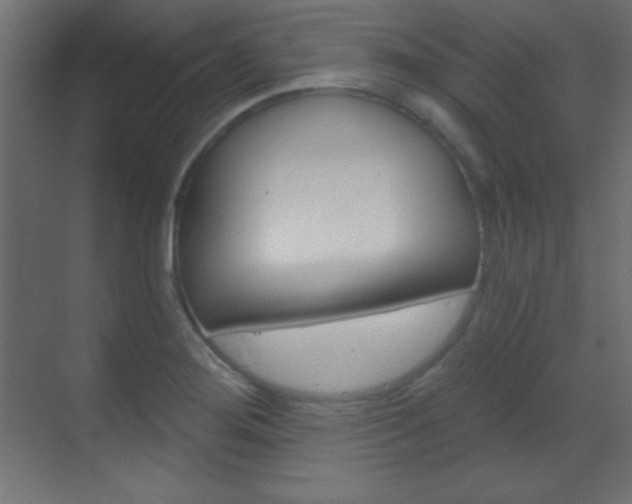 X0000070161276200605260929