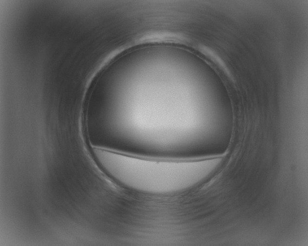 X0000070161277200605260929
