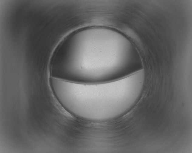 X0000070161280200605260929