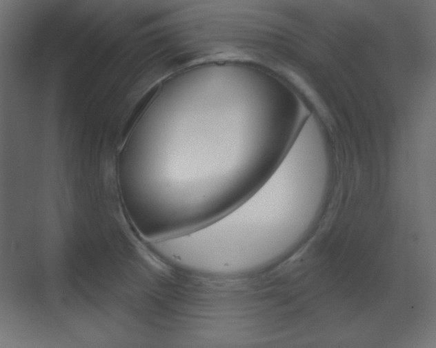X0000070161281200605260929