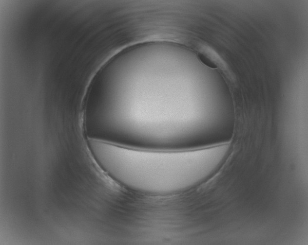 X0000070161284200605260929