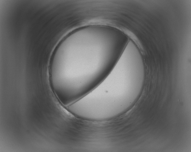 X0000070161288200605260929