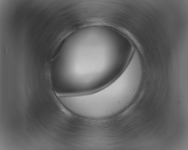 X0000070161289200605260929