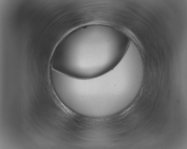 X0000070161292200605260929