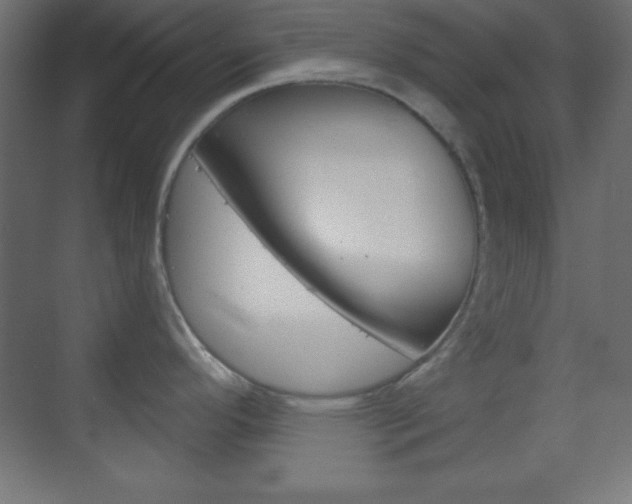 X0000070161296200605260929