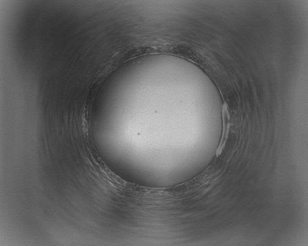 X0000070161298200605260928